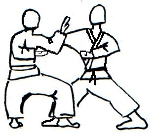 Nidan 11