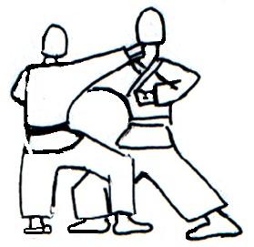 Nidan 8