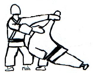 Nidan 13