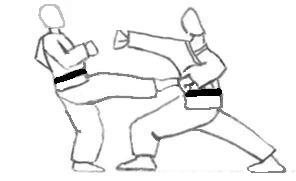 Nidan 15