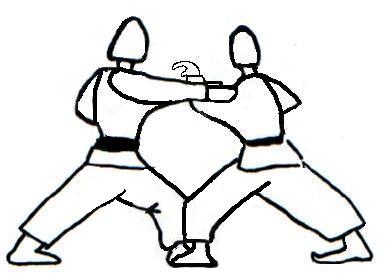Sandan 12