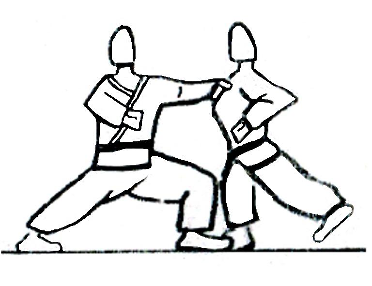 Shodan 13