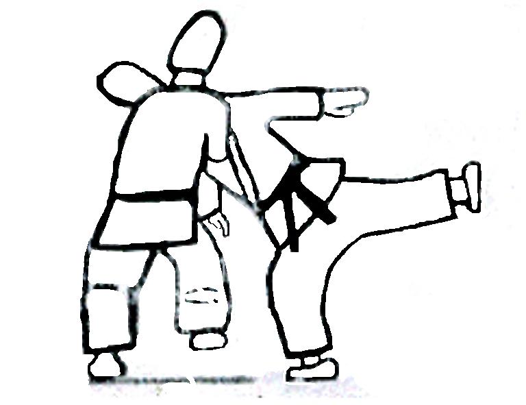 Shodan 15