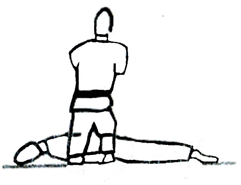 Shodan 16