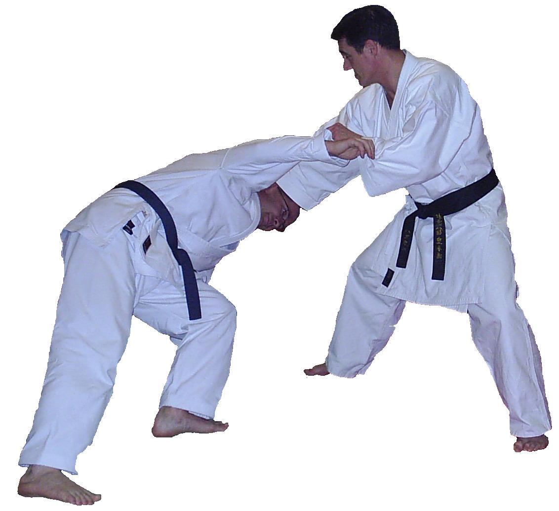 Shodan Photo 18