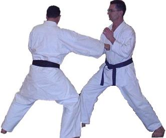 Shodan Photo 2