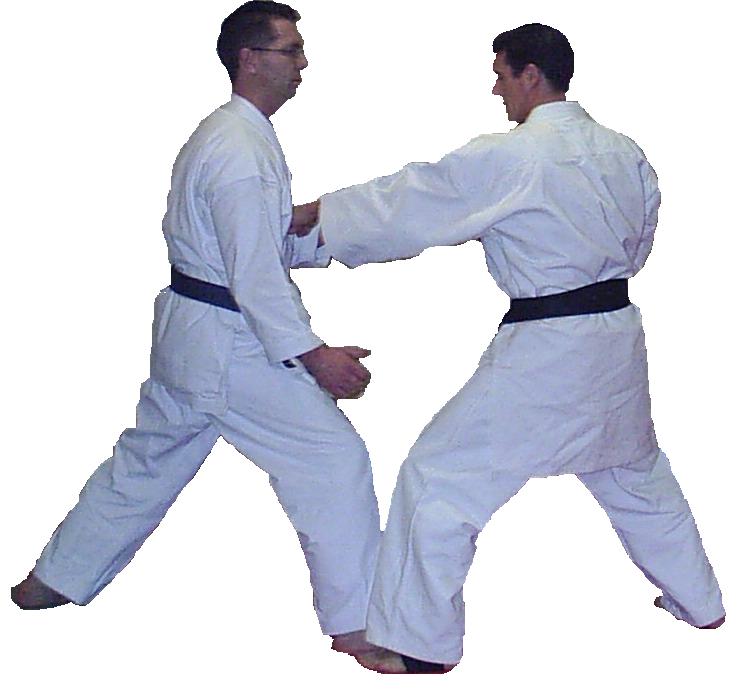 Shodan Photo 8