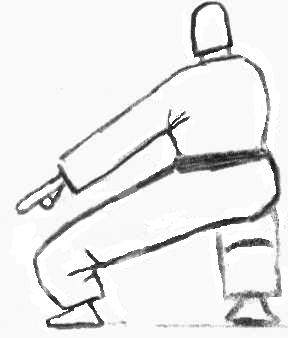 Tori 17