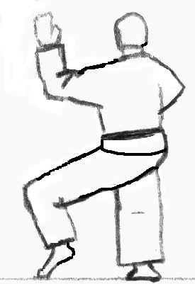 Tori 7
