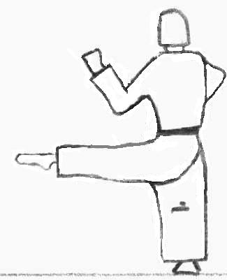 Tori 8