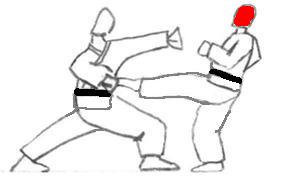 Uke 8