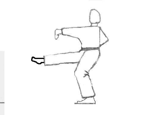 Mae Geri