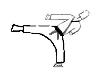 Mawashi Geri Shodan