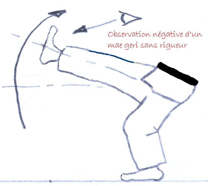 Mae Geri Foot