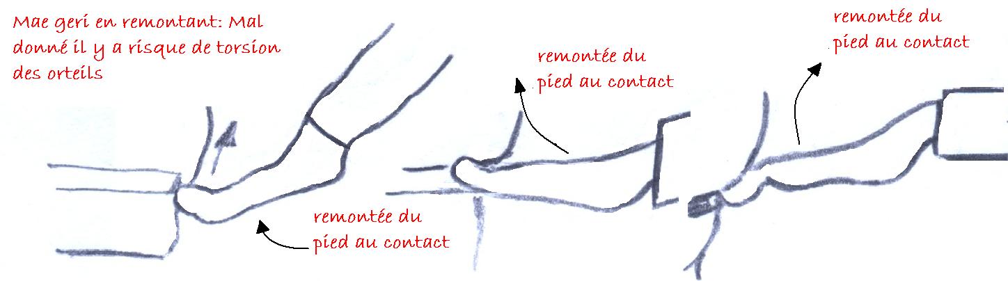 Orteils