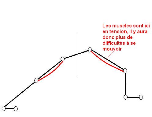 Position Basse 2