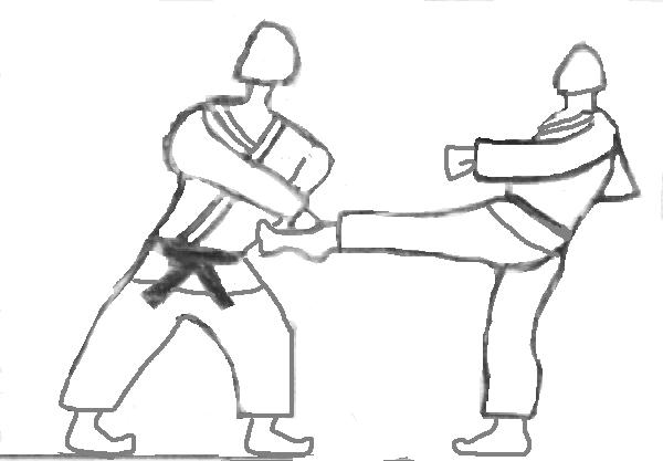 Figure 24